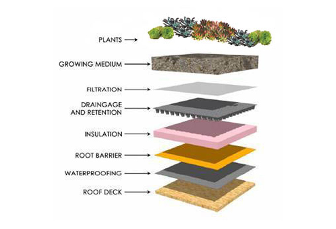 green roof, rainwater, water management