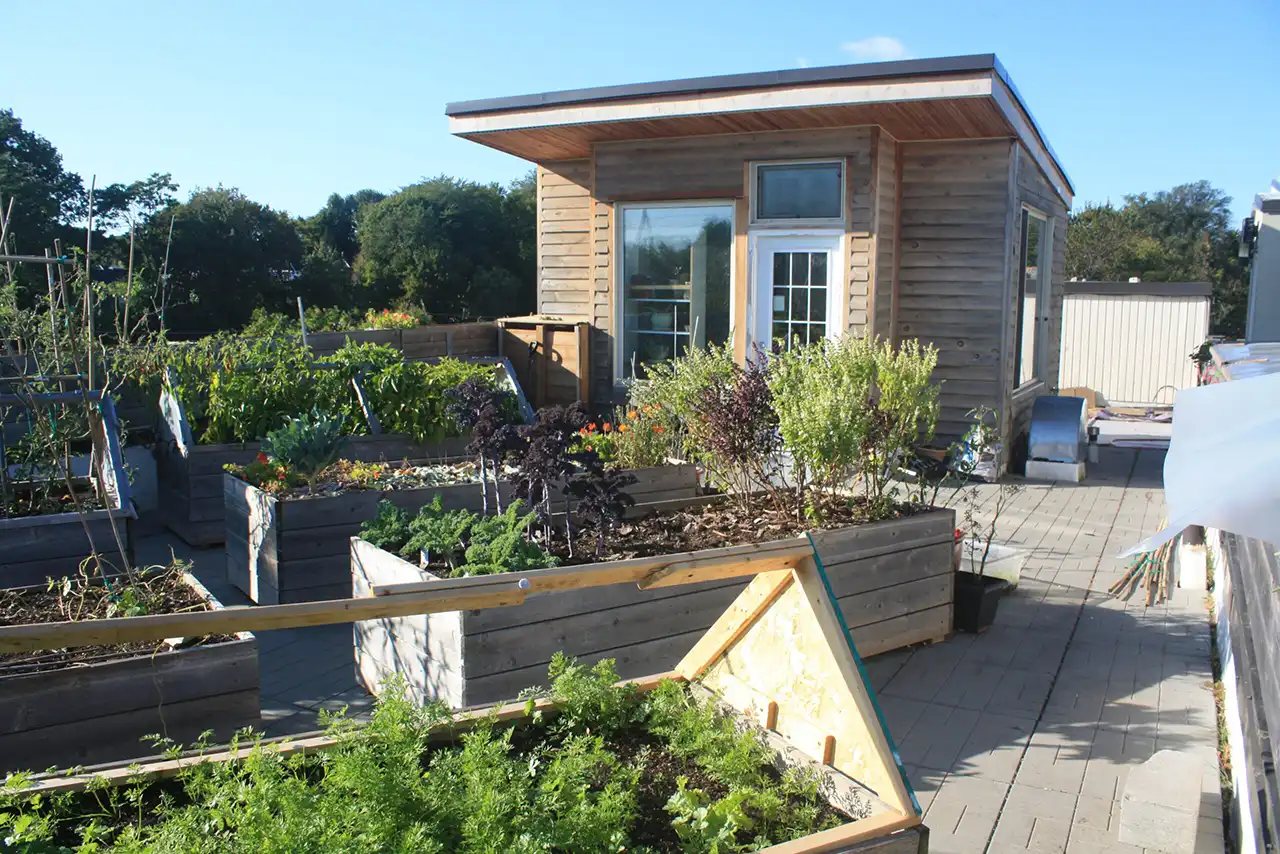 Rooftop Garden - Stage 1