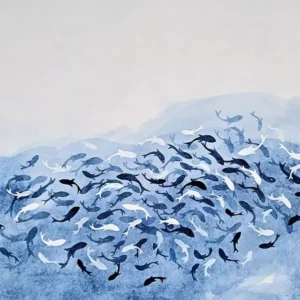 Blue Fish Middle Class