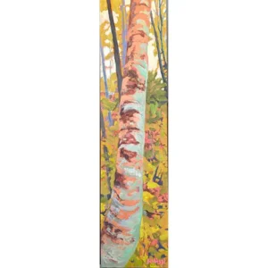 Copper Birch