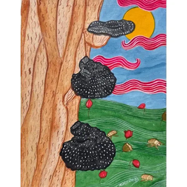 Mushroom Love