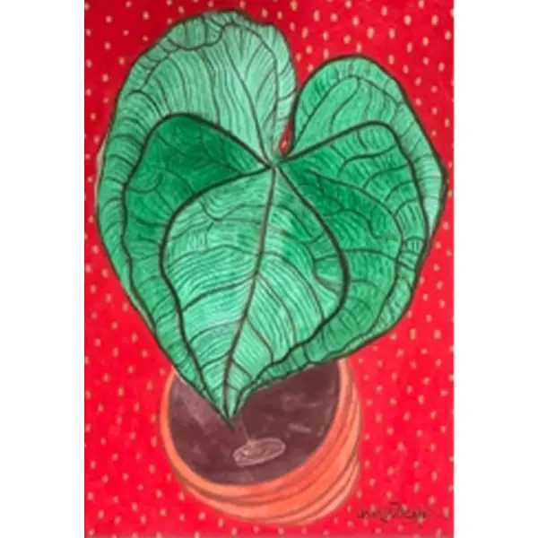 The Plant